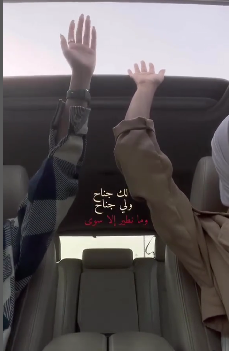 Image of Shaymaa Al-jazzar.